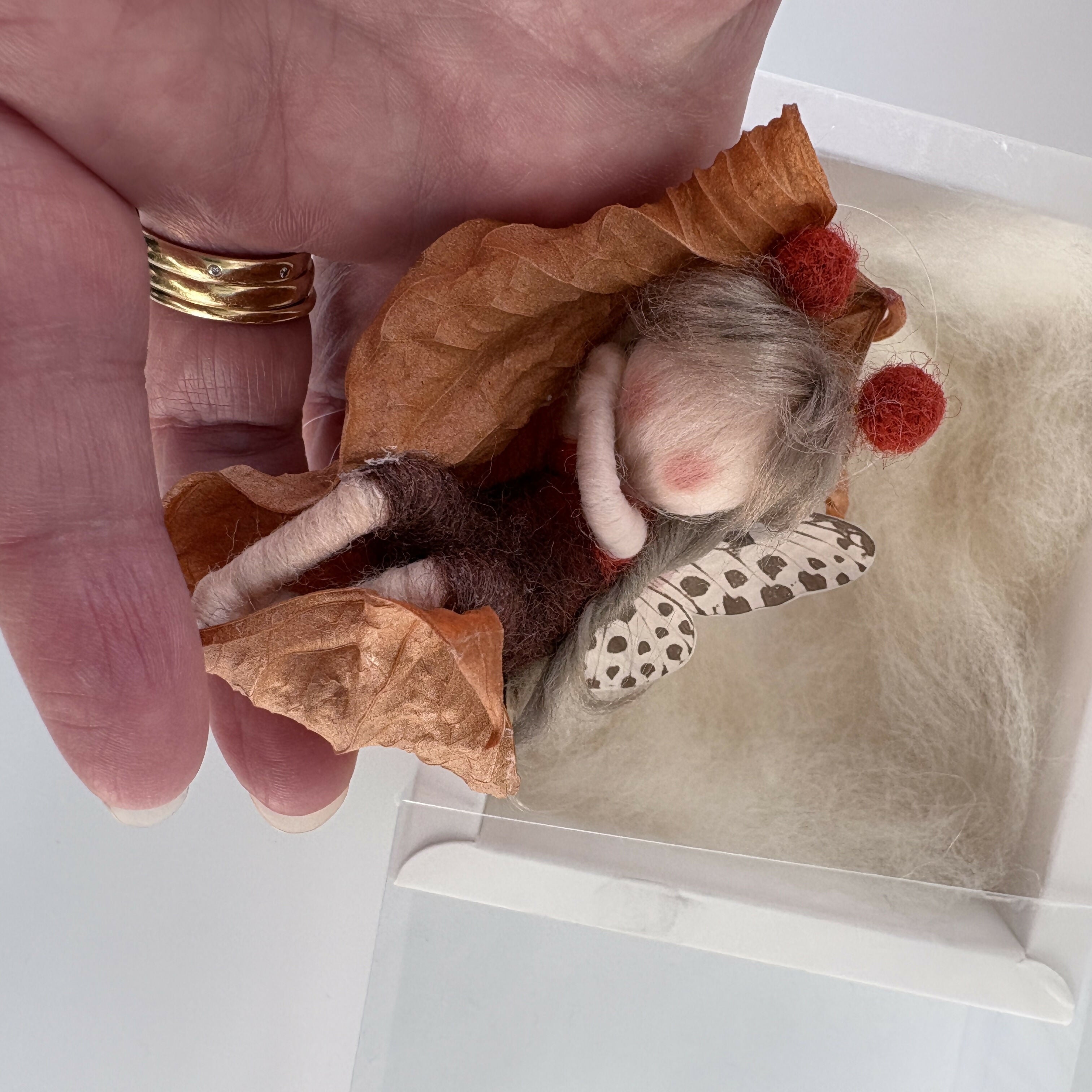 Fairy Laid Sleeping Inside A Leaf