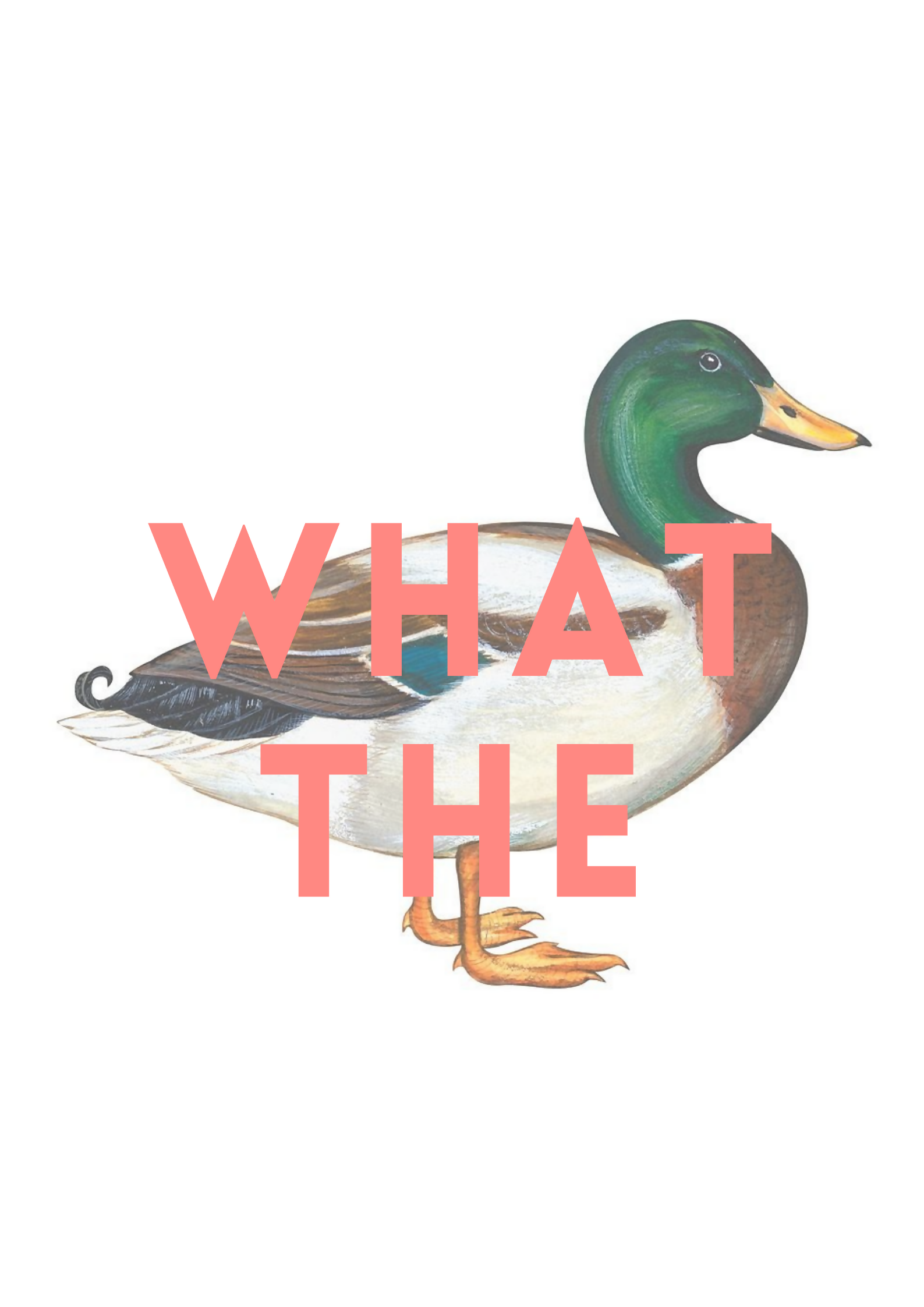 What the Duck Print