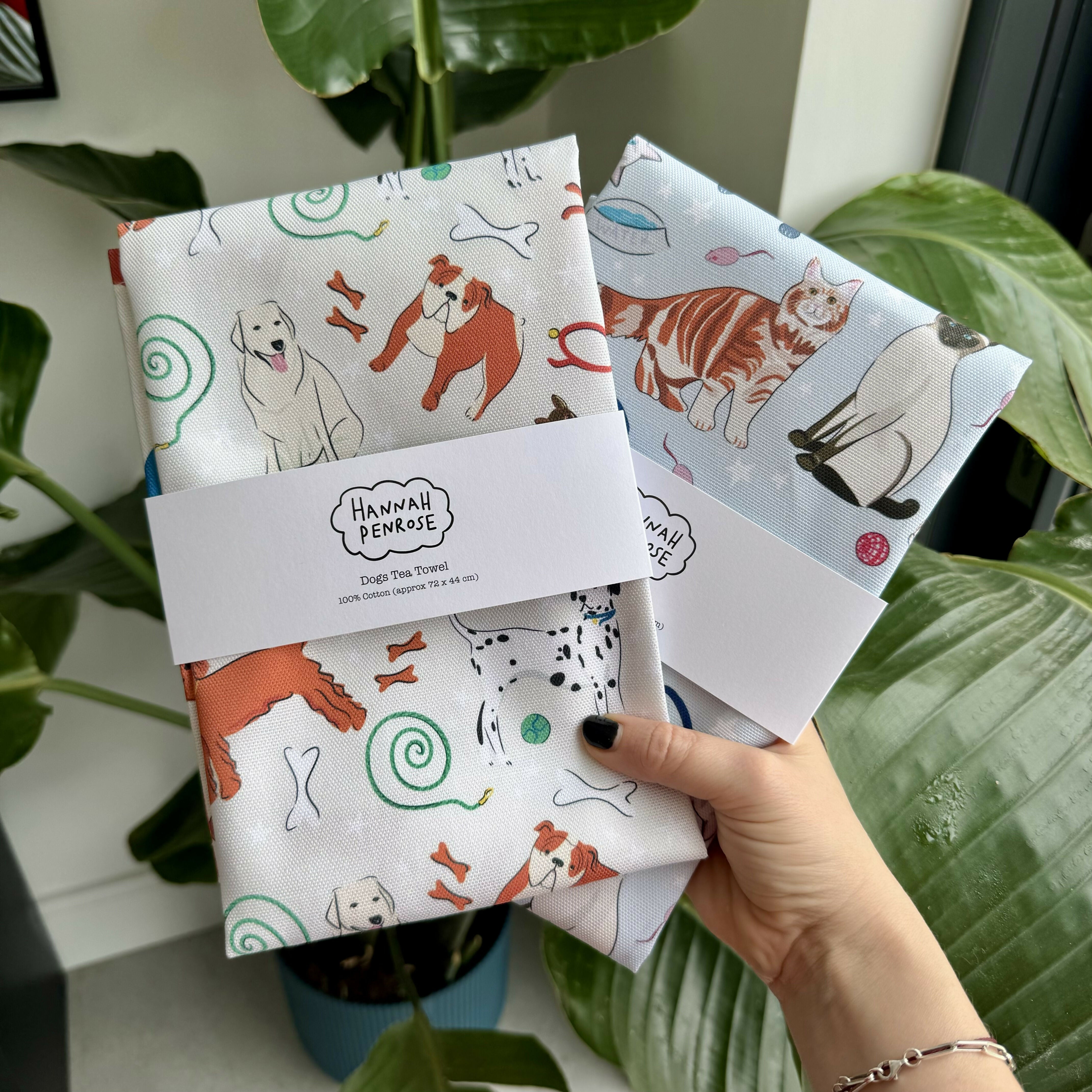 39F22312-6172-421C-A8B6-70EB4F58898C