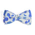 Silk Bowtie | Hand-Painted Elegance | Art & Soul