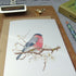 bullfinch greetings card