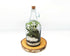 Classic 1L Demijohn Terrarium