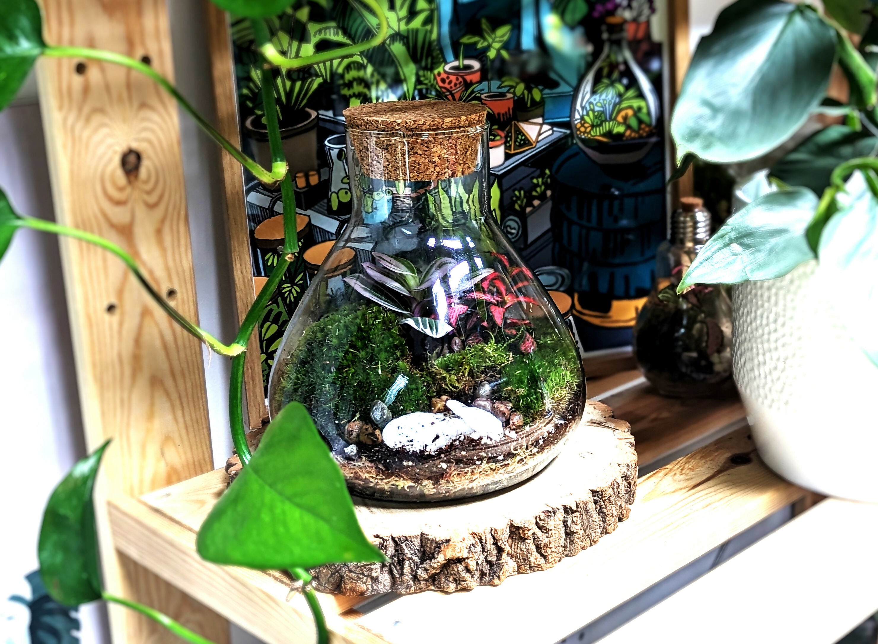 PXL_20240222_074307257.PORTRAIT