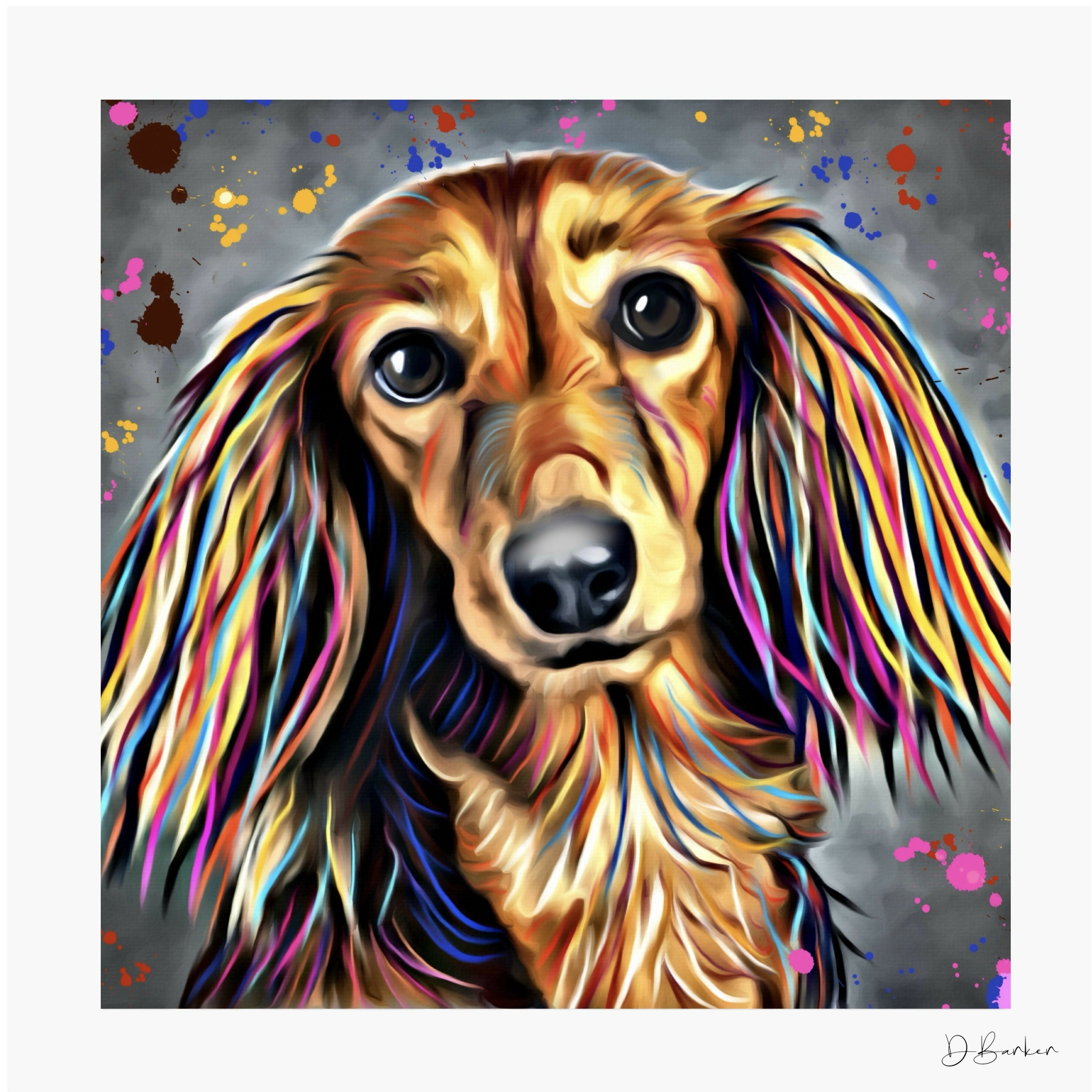 LONG HAIRED DACHSHUND DOG COLOUR SPLASH MOUNTED ARTWORK
