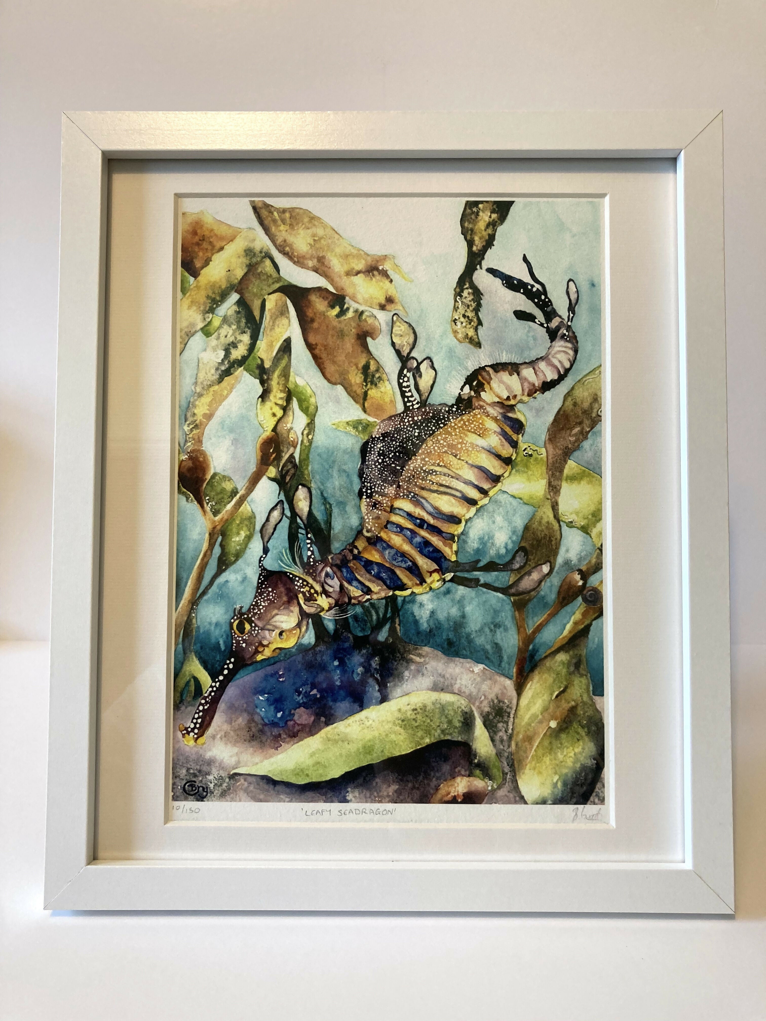 Leafy Seadragon - Print