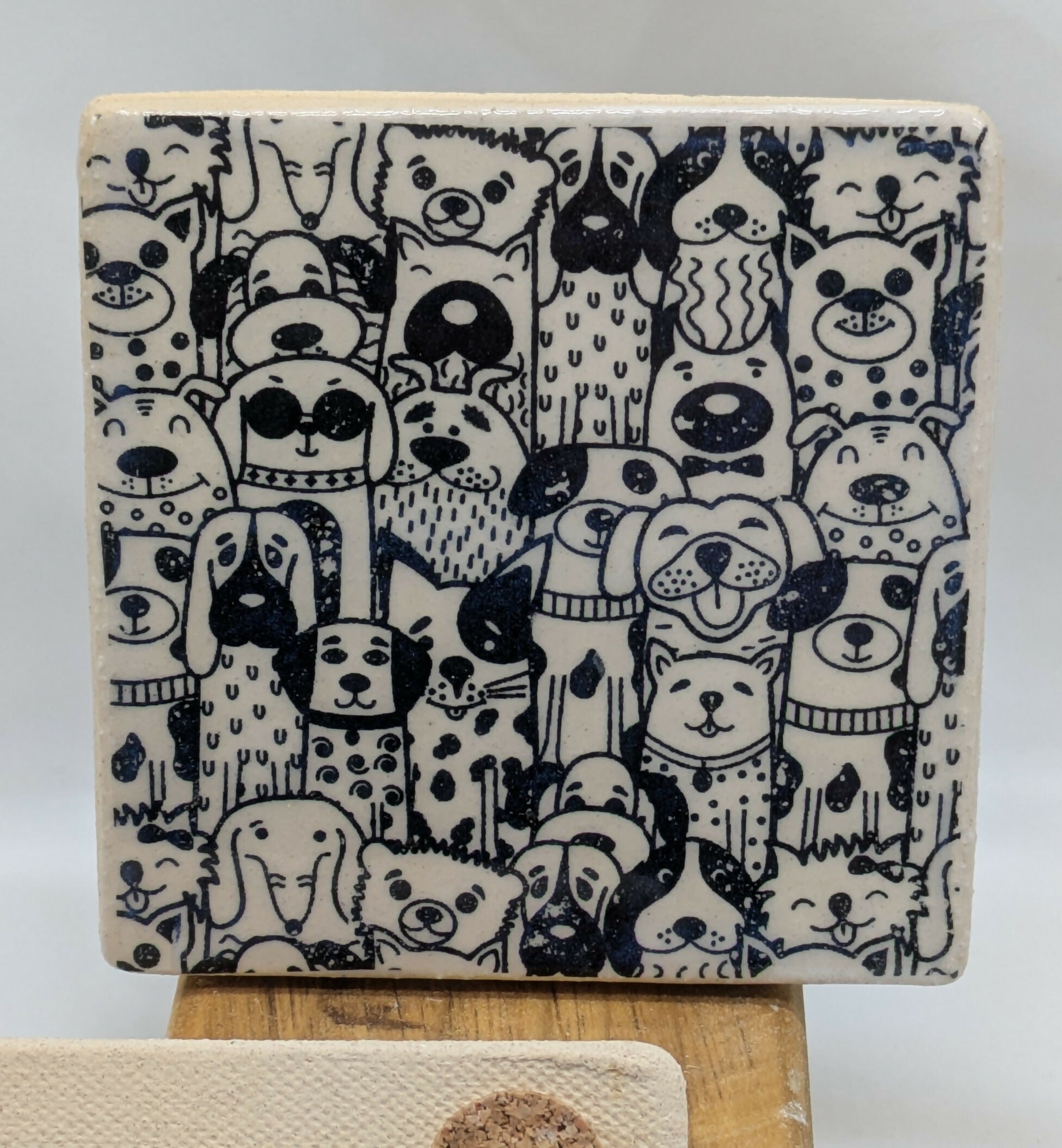 PXL_20250516_112555462