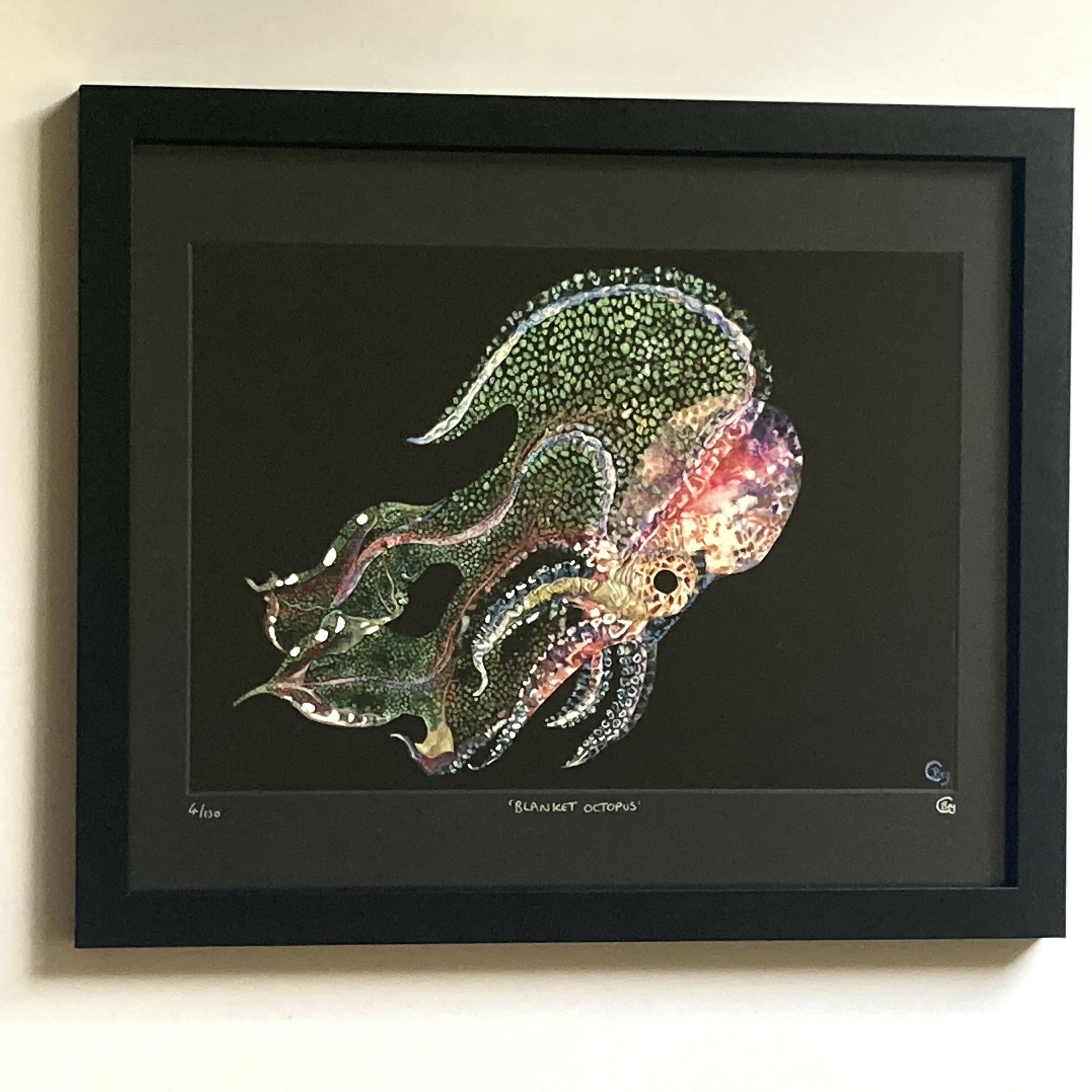 Blanket Octopus - Hand Finished - Print
