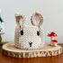 Crochet Rabbit Basket