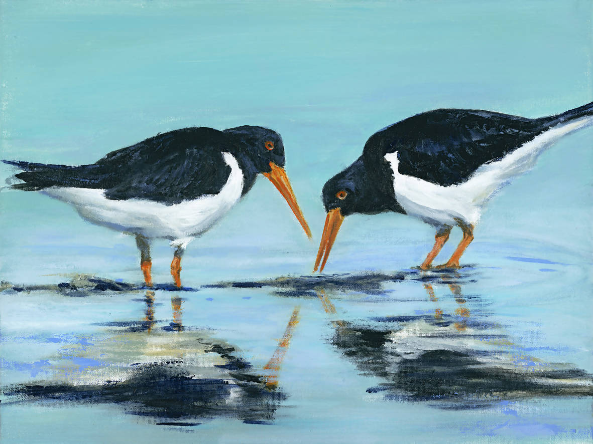 OYSTERCATCHERS II - CARD