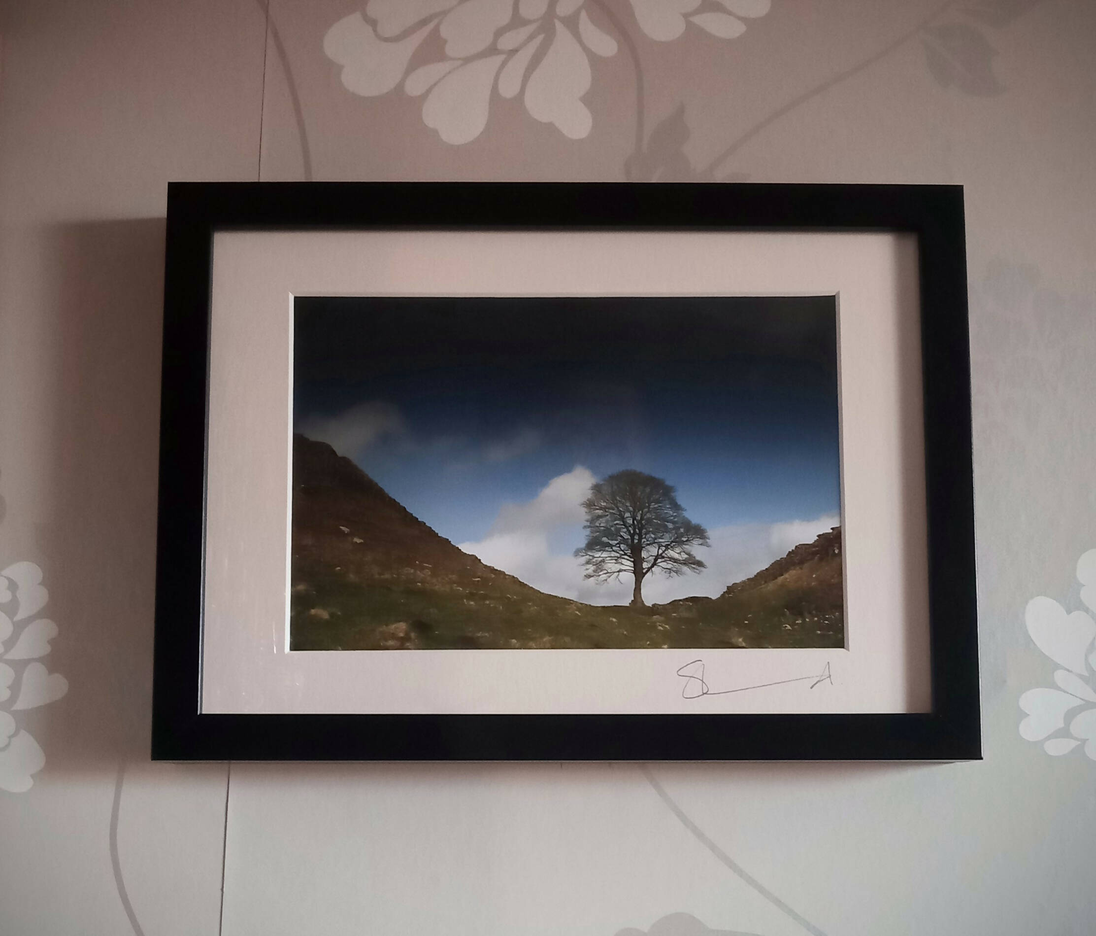 Sycamore Gap (A4 Frame)