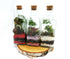 Tall Square Terrarium 500ml