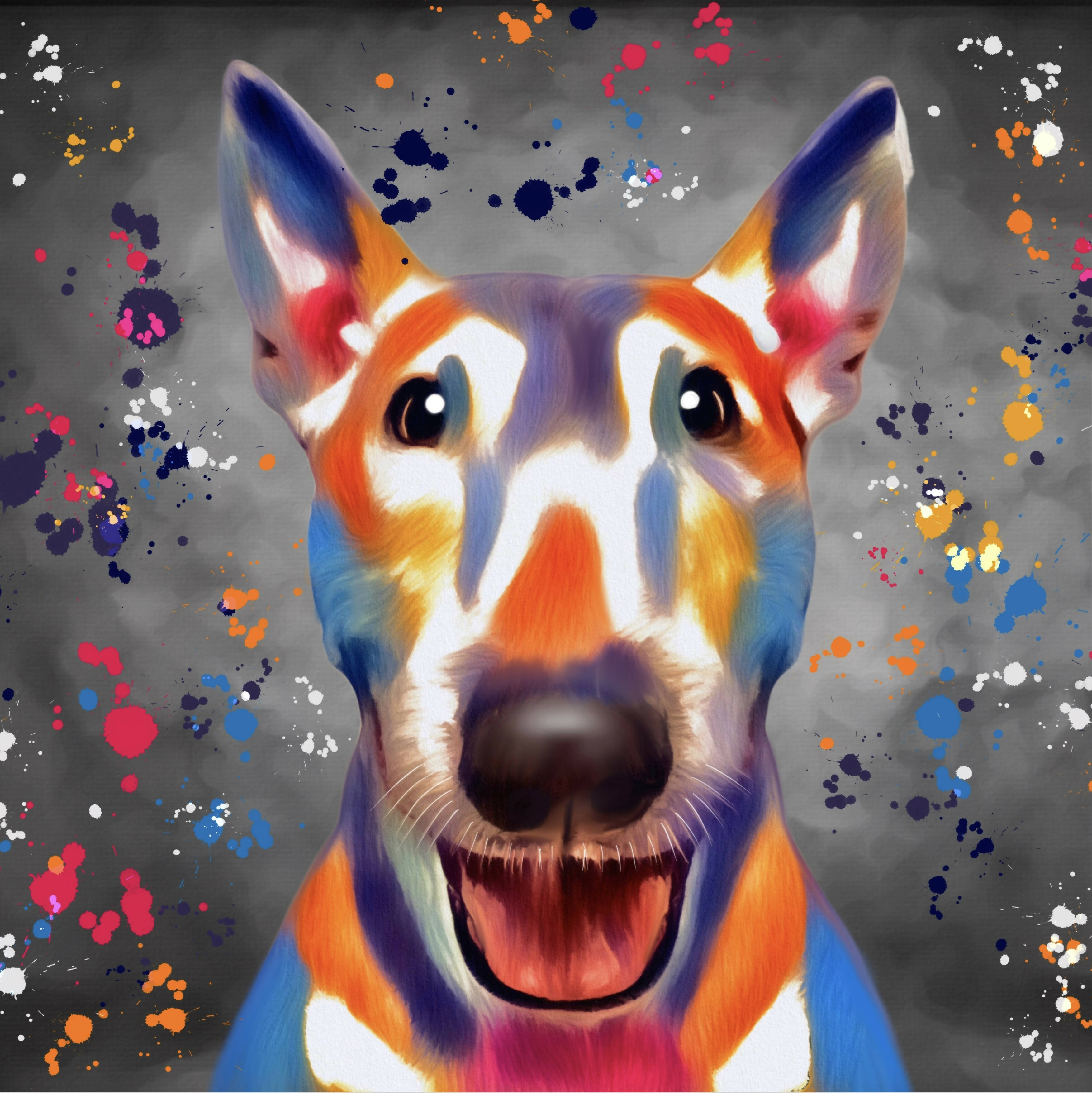 BULL TERRIER DOG COLOUR SPLASH FRAMED ARTWORK.