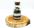 Small 150ml Bottle Terrarium