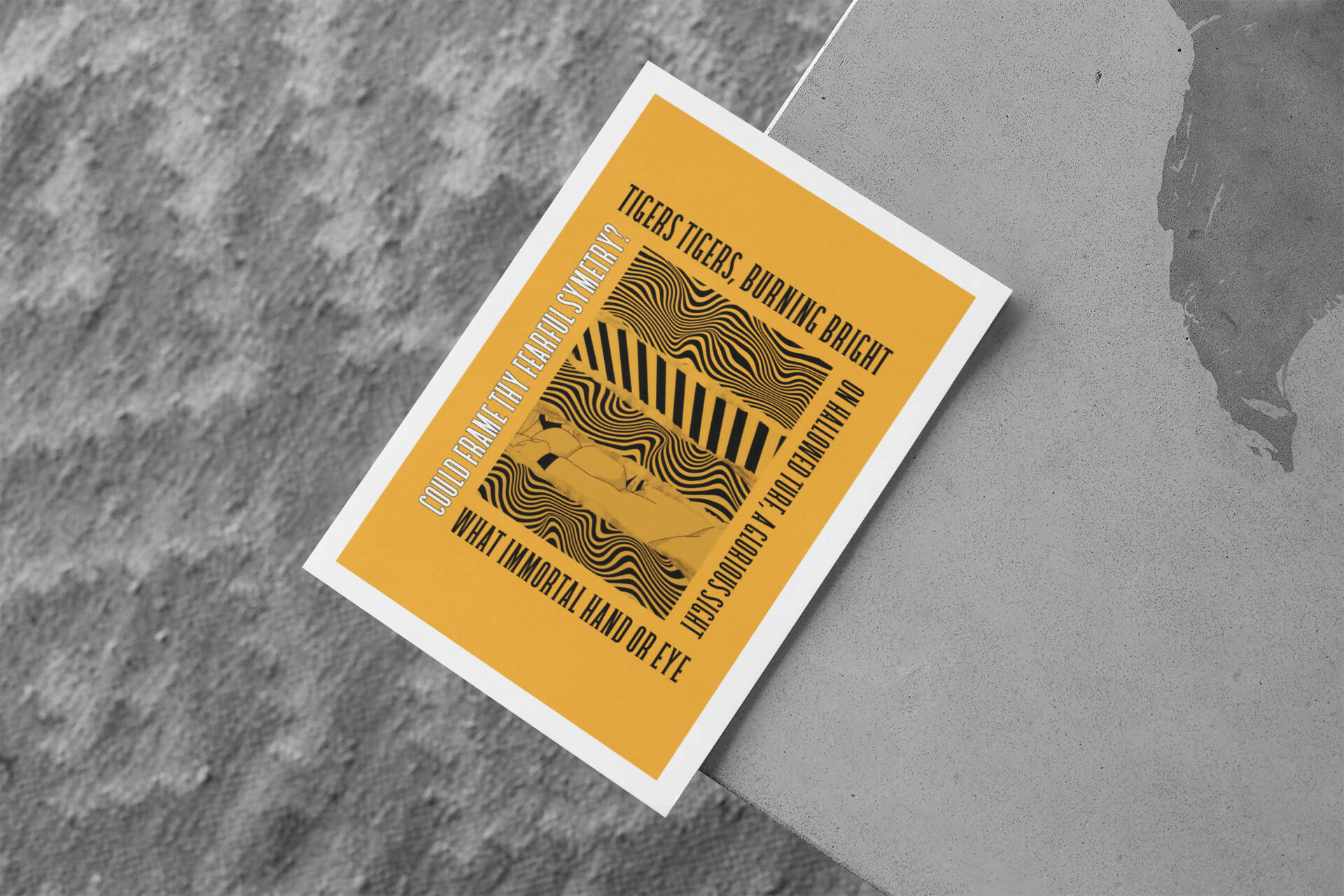 Hull City Art Print TIGERS TIGERS LYRICS Design in Amber