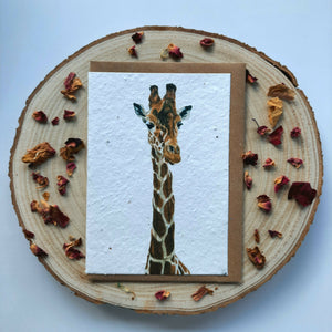 Plantable Wildflower Card - A6 Giraffe