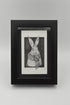 Wooly Wisdom - Limited Edition Print by Jenny Davies