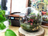 Egg Terrarium
