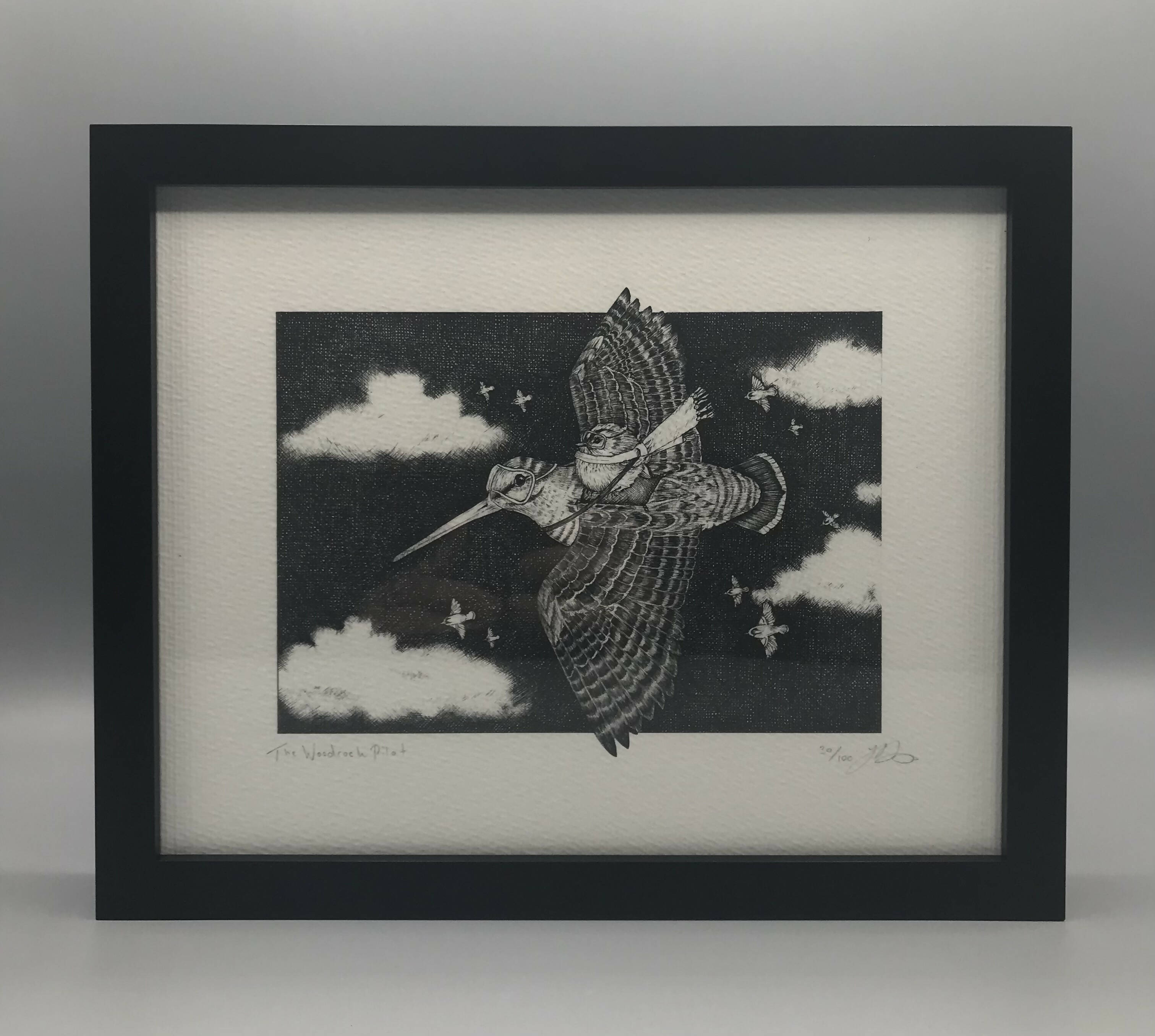 The Woodcock Pilot - Limited Edition Print By Jenny Davies