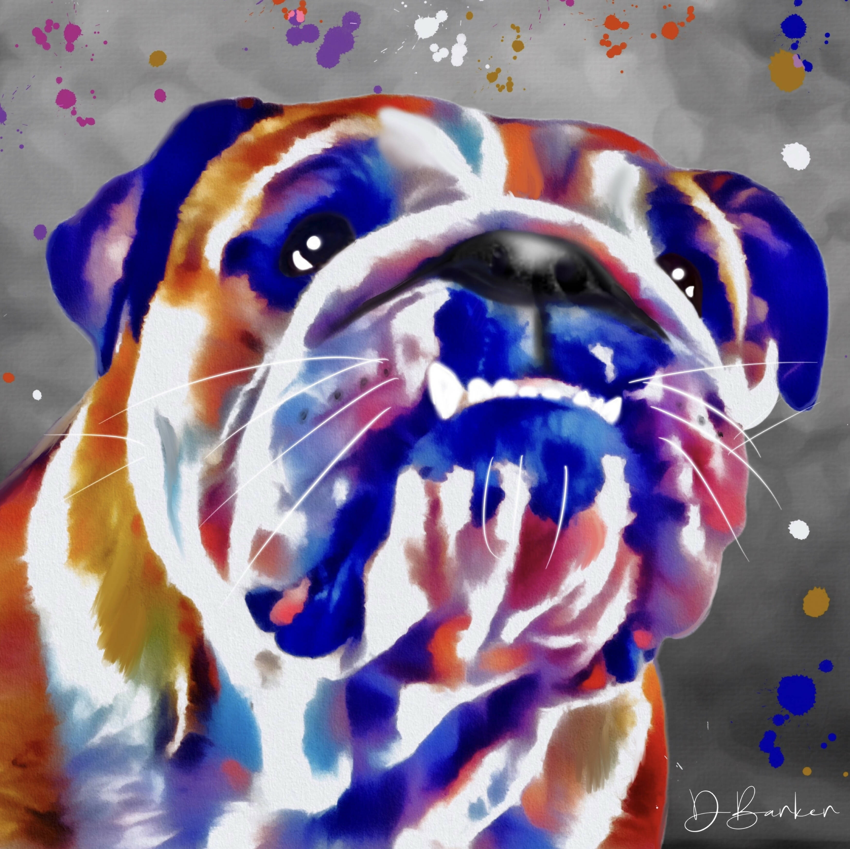 BULLDOG COLOUR SPLASH MOUNTED ARTWORK.