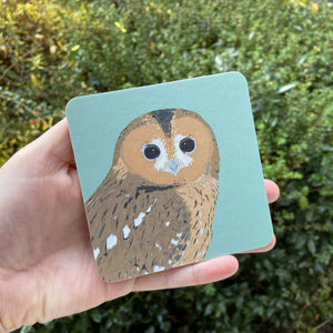 Tawny Owl Coaster