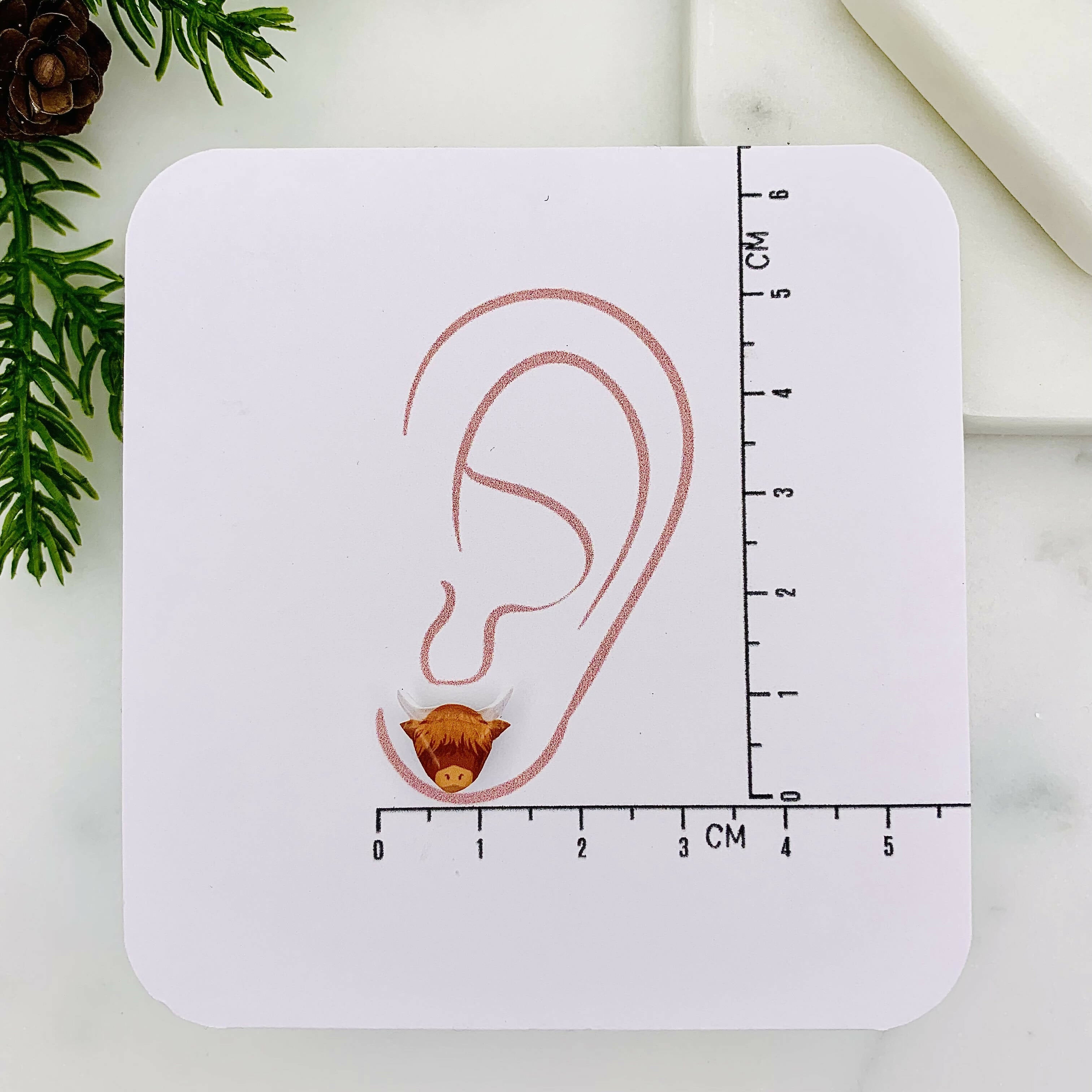 Adorable Highland Cow Stud Earrings | Art & Soul