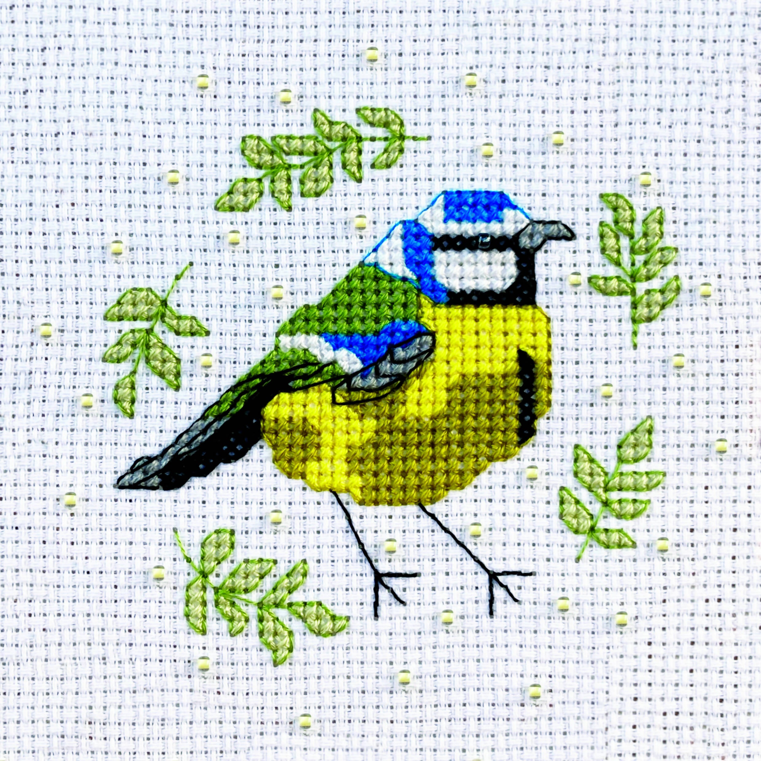 Blue Tit Cross Stitch Kit