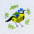 Blue Tit Cross Stitch Kit