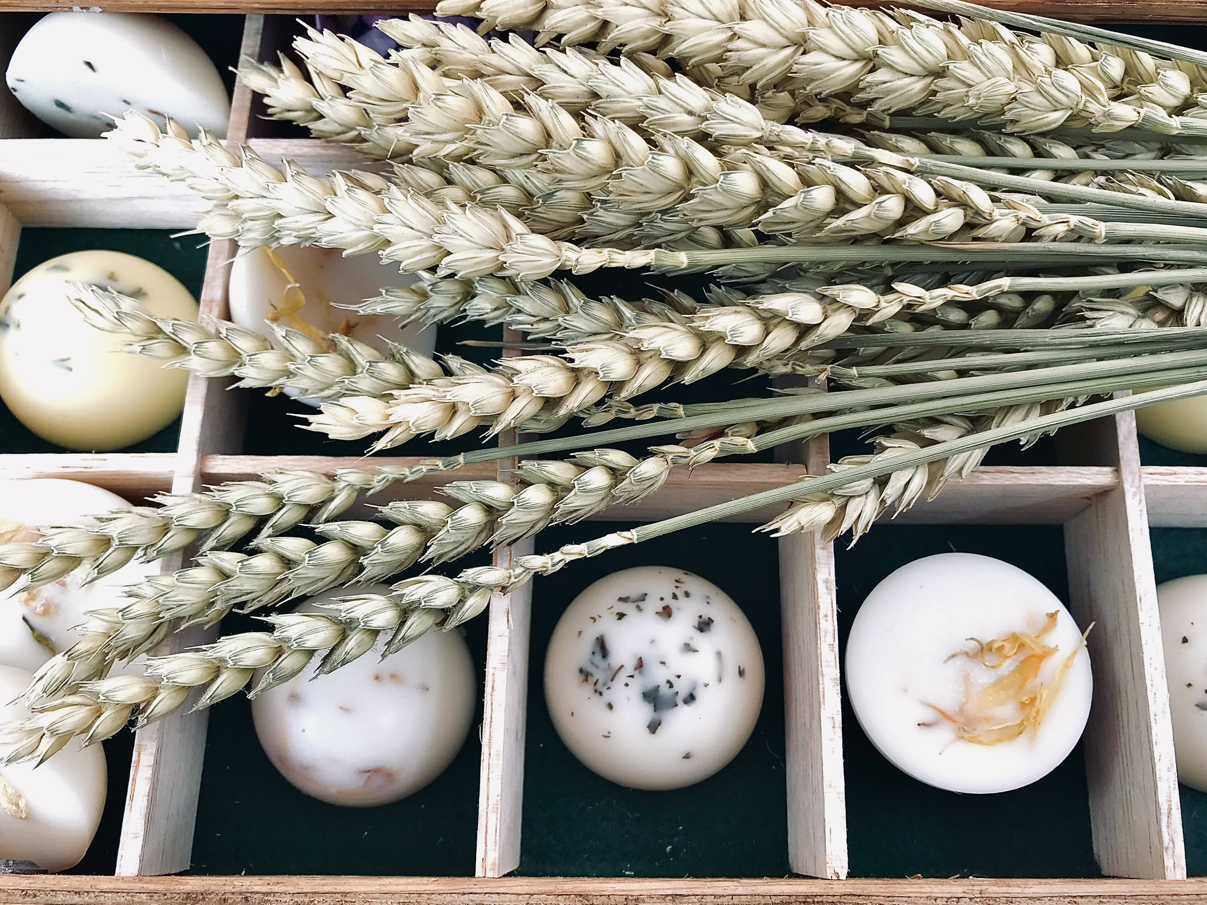 TOASTED TONKA BEAN & WOODSMOKE, 6 BOTANICAL SOY WAX MELTS