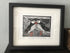 A Couple of Billing Puffins Framed Lino Cut Print