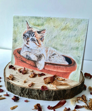 Plantable Wildflower Card - Cosy Cat