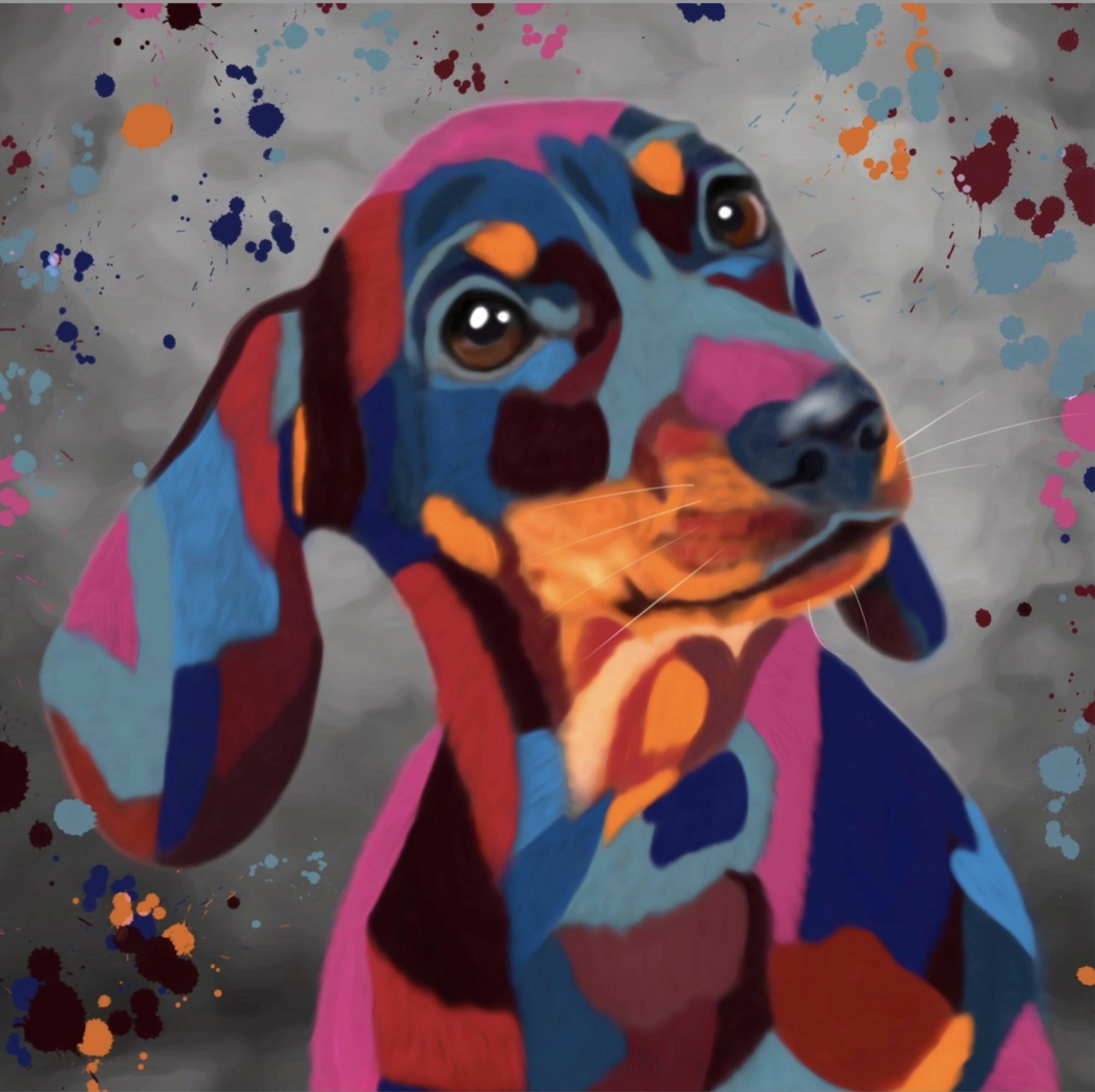 DACHSHUND DOG COLOUR SPLASH FRAMED ARTWORK.