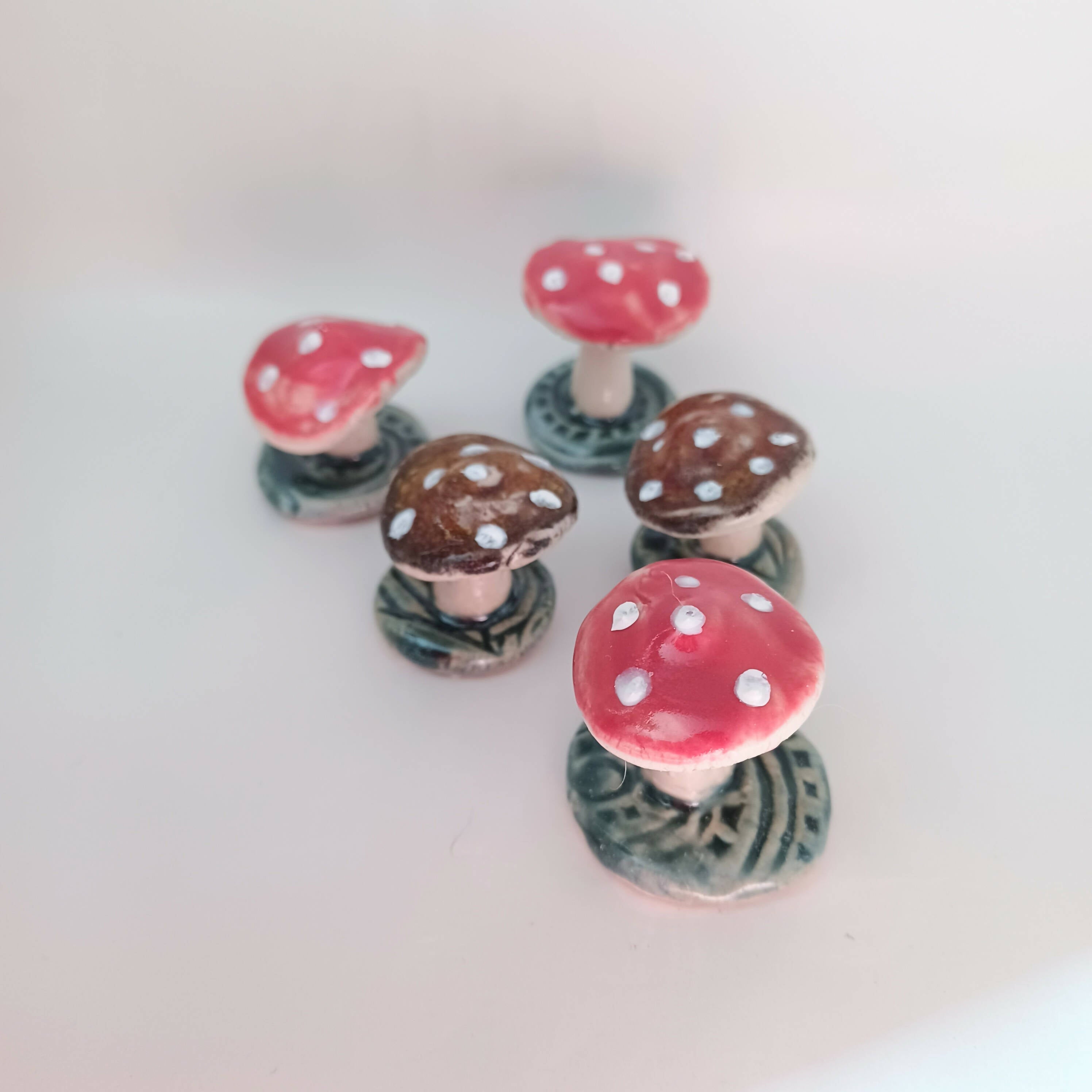 Tiny Toadstool