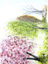 4 Seasons Wave