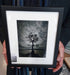 Millarochy Bay (Small Frame)