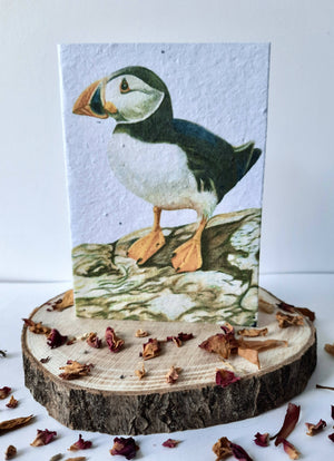 Plantable Wildflower Card - Puffin