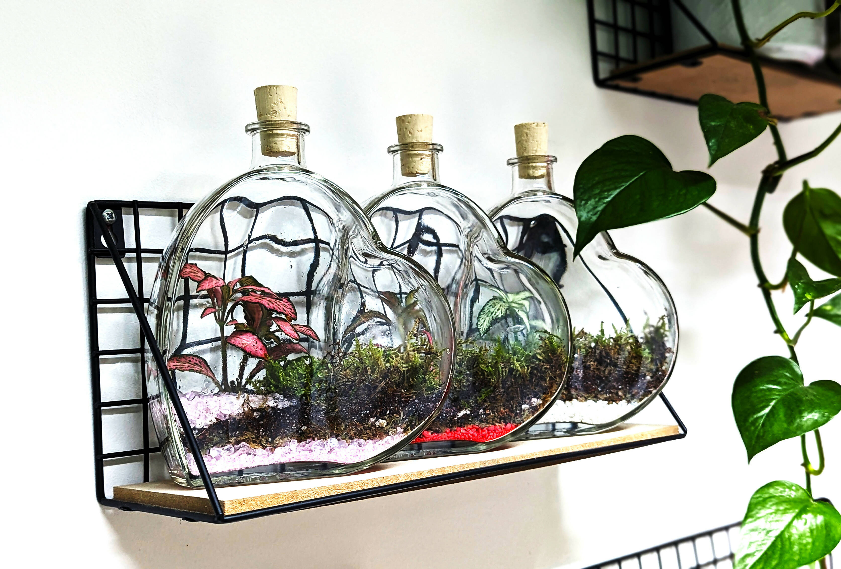 Heart Terrarium