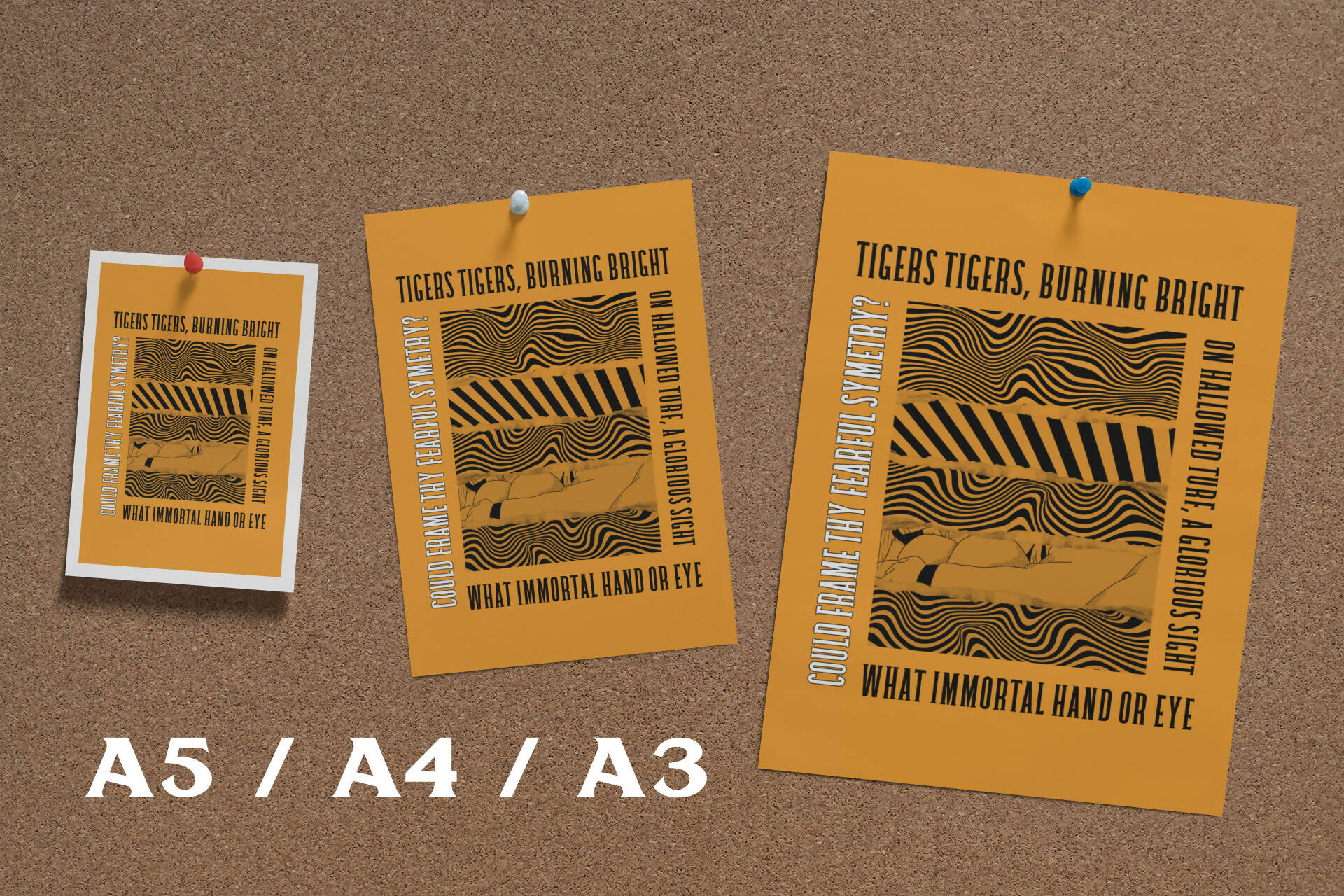 Hull City Art Print TIGERS TIGERS LYRICS Design in Amber