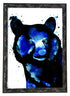 Framed Glacier Bear