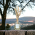 Winter in Yorkshire Rose & Pomegranate Reed Diffuser - 100ml | Art & Soul
