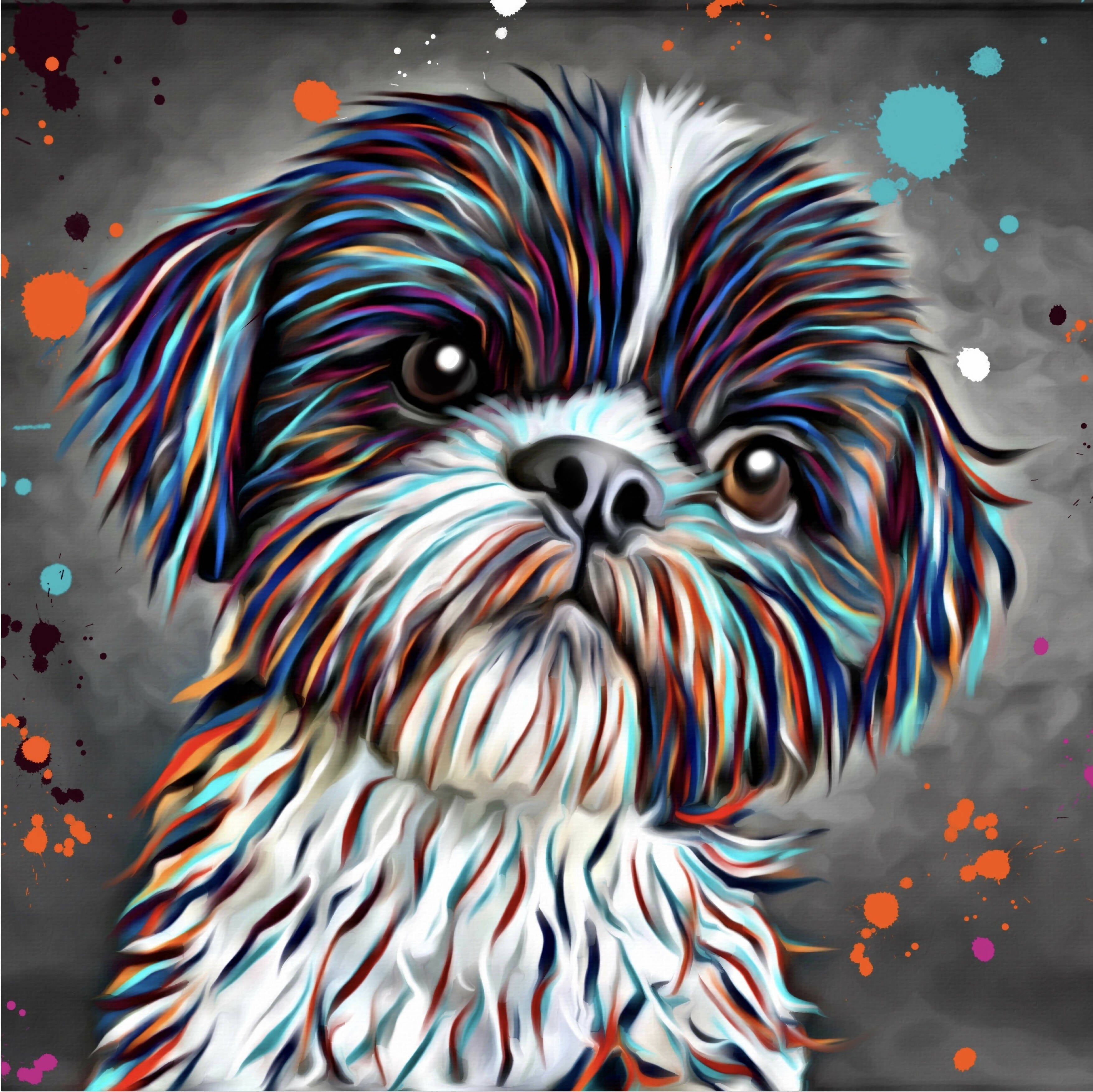 SHITZU DOG COLOUR SPLASH FRAMED ARTWORK.