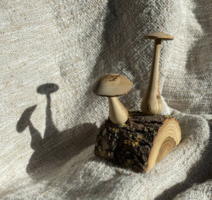 Woodland Mushroom Pair