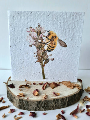 Plantable Wildflower Card - Bee Design
