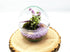 Small Egg Terrarium