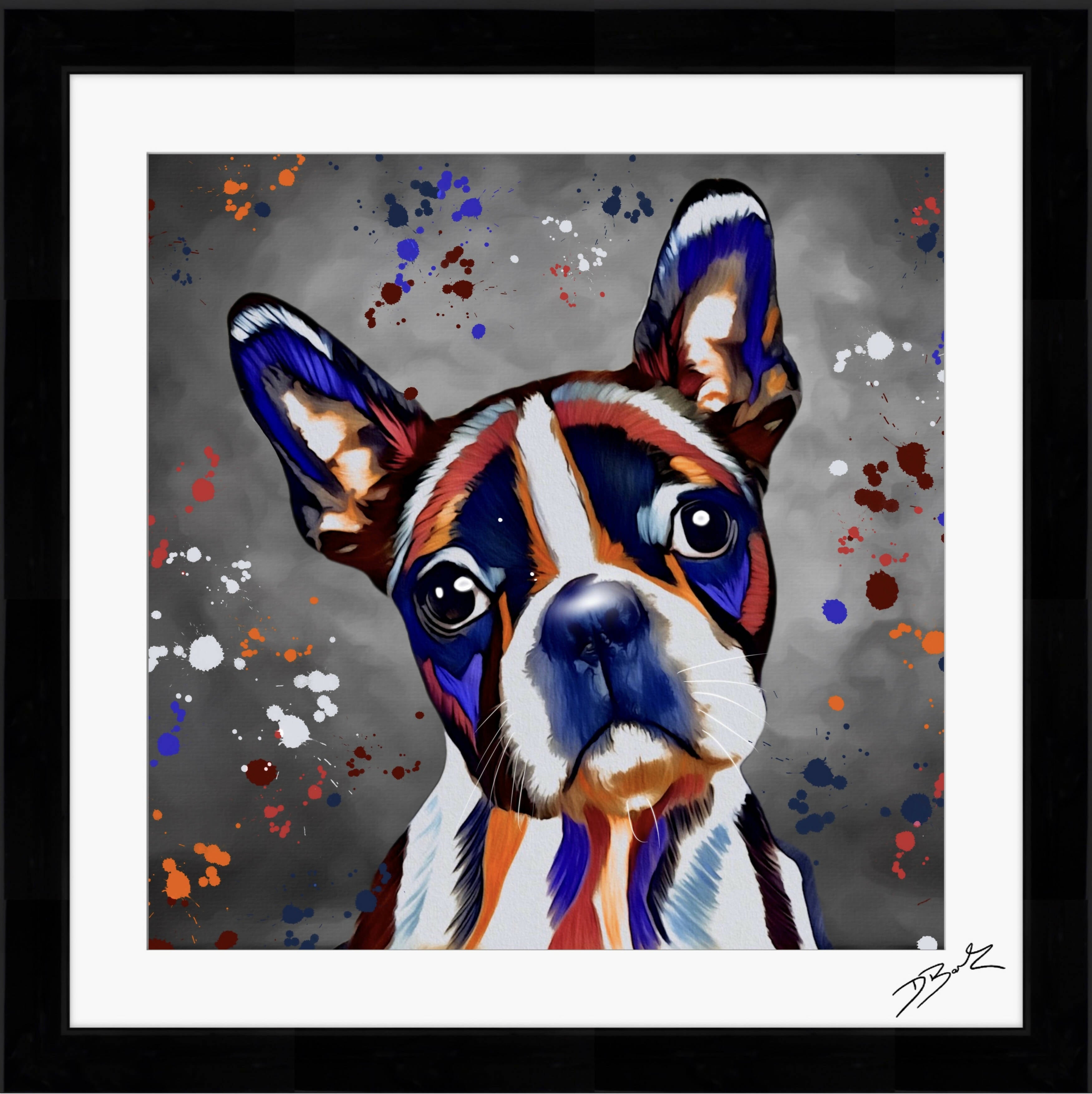 BOSTON TERRIER DOG COLOUR SPLASH FRAMED ARTWORK.
