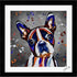 BOSTON TERRIER DOG COLOUR SPLASH FRAMED ARTWORK.