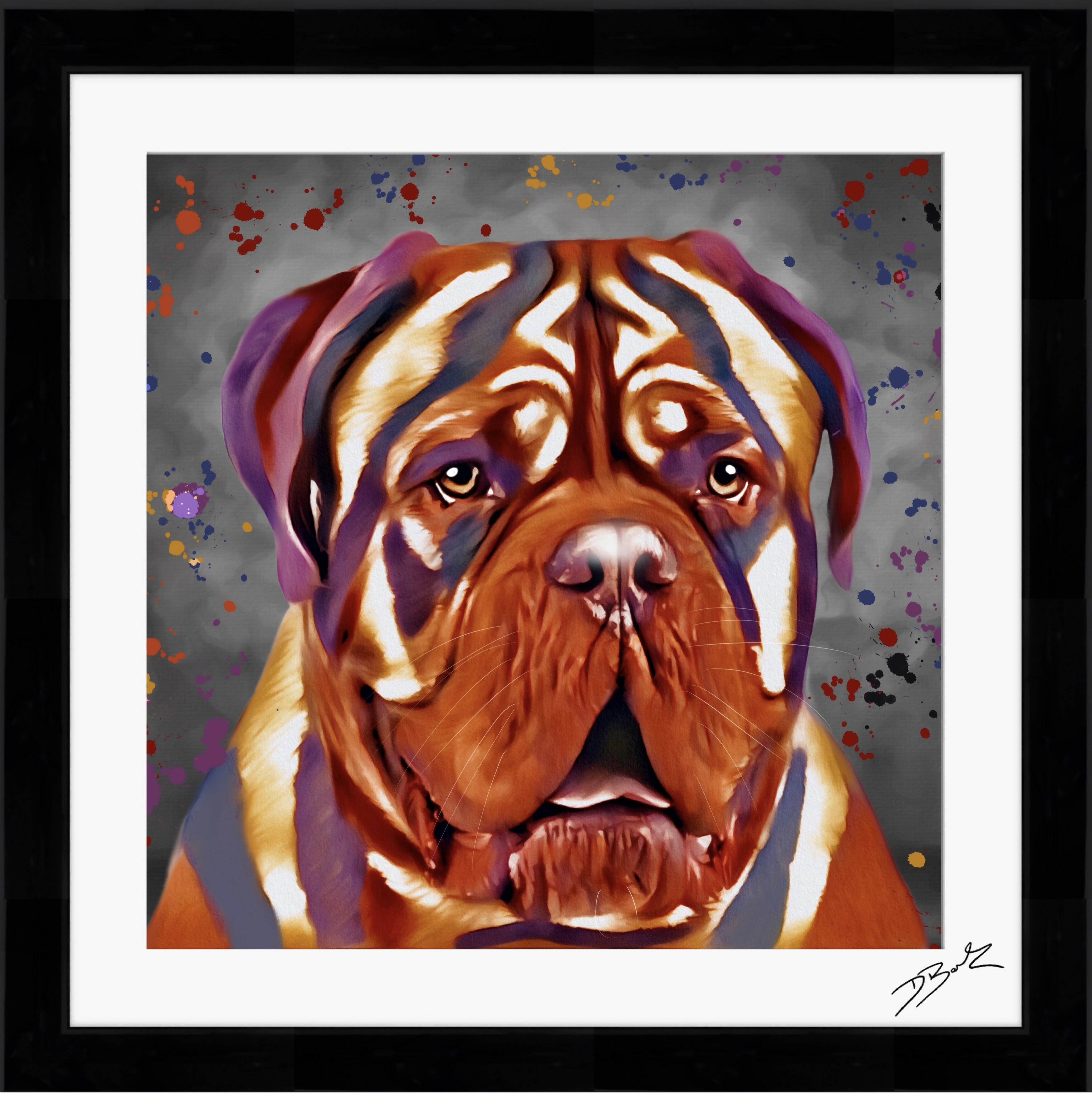 DOGUE DE BORDEAUX DOG COLOUR SPLASH FRAMED ARTWORK.