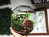 Egg Terrarium