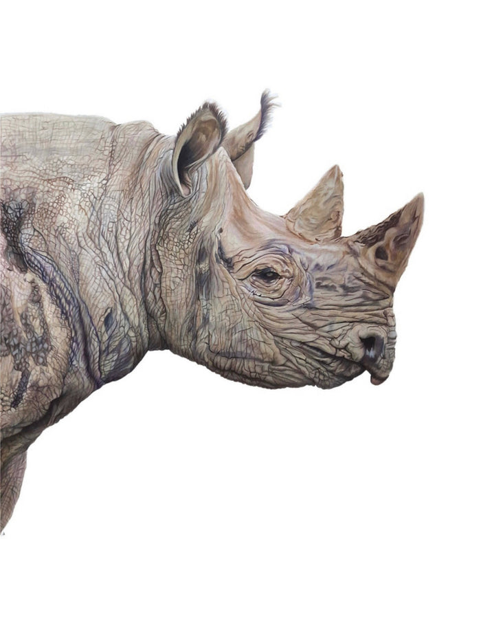 Fine Art Giclée Print: Rhino