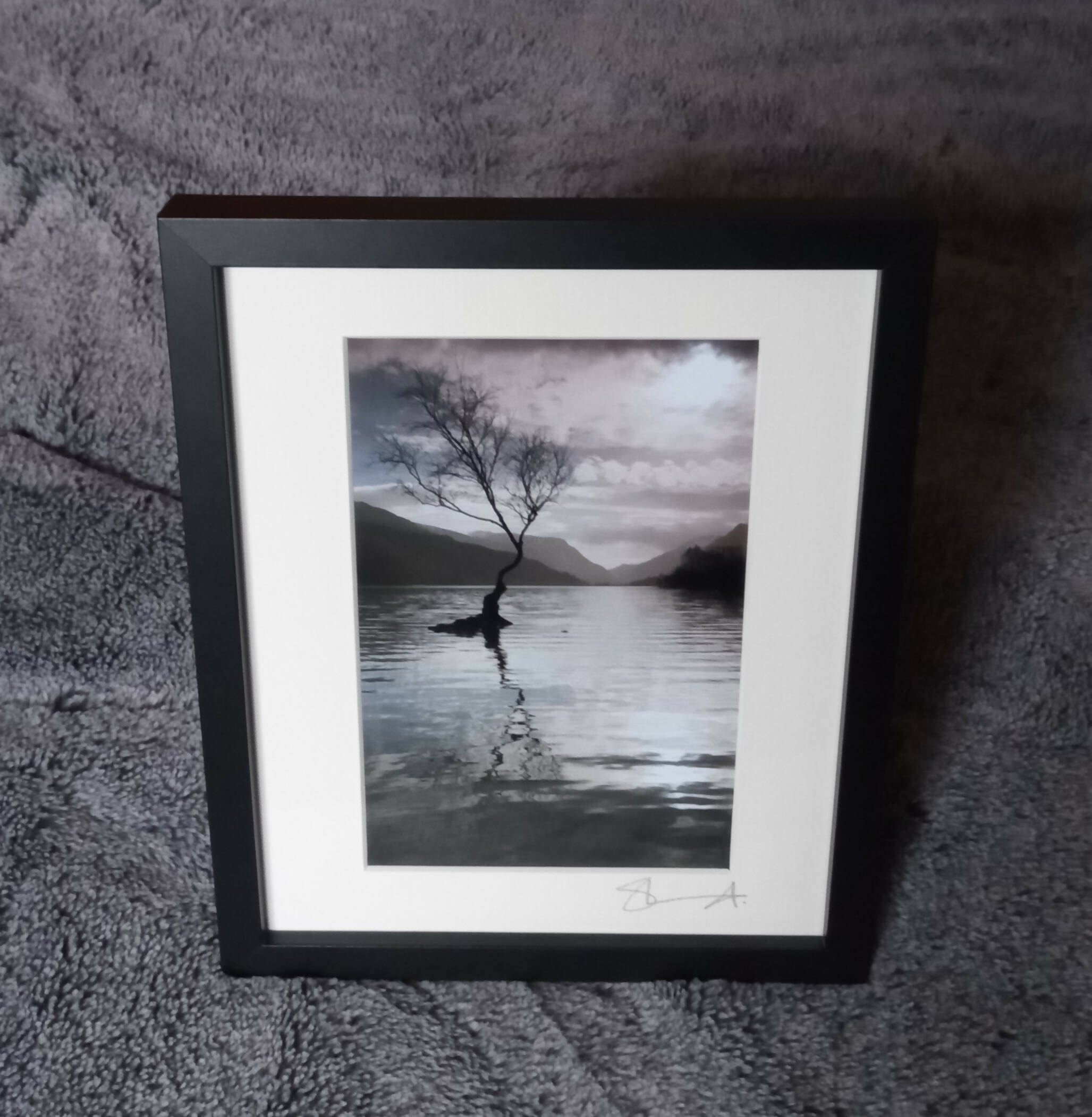 Llyn Padarn Tree - Print in A4 Mount