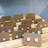 Pastel Collection; Dot Stud Polymer Clay Earrings: Medium
